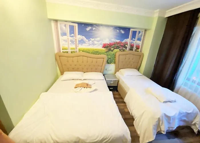 Redamancy 2* Provincia di Istanbul